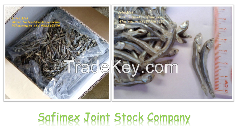 Dried anchovy fish