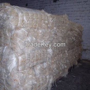 100% Natural raw sisal fiber/UG sisal fibre /bleaching sisal fiber for Gypsum for sale