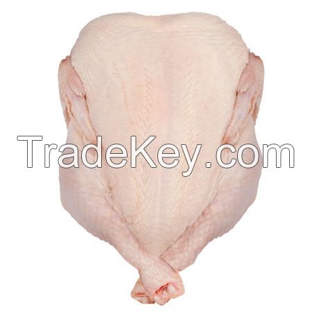 Halal A Grade Frozen Whole Chicken, Chicken Feet, Chicken Paws, Chicken Breasts and more