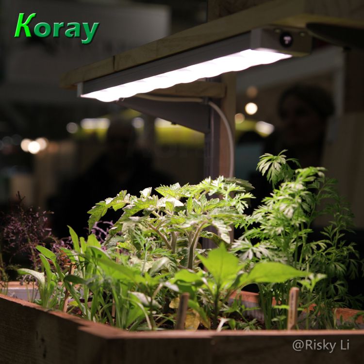 Koray Full Spectrum LED Plant Grow Light Bar for Hydroponic Vertical Farm