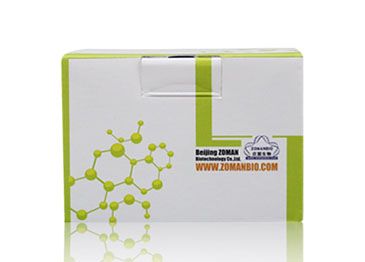 Genomic DNA Kit