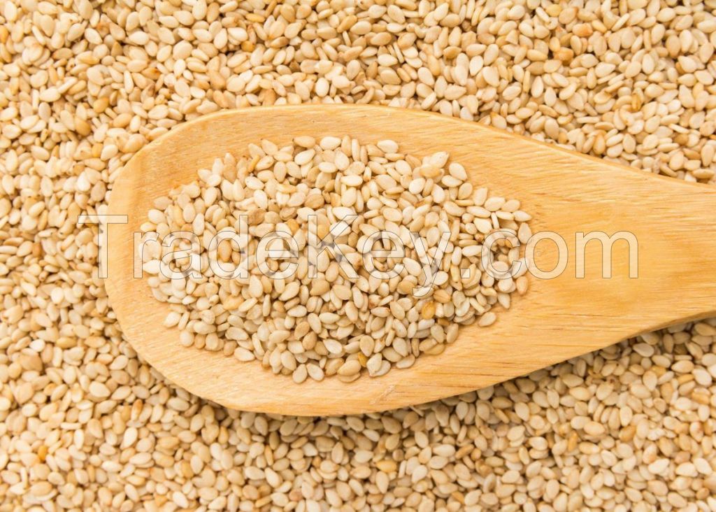 Sesame Seeds