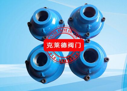 Check Valve; Size: 1" (DN25), A2969