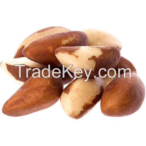 BRAZIL NUTS - CASTANHA DO PARA - PREMIUM SELECTION