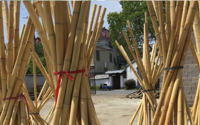 Bamboo Stakes