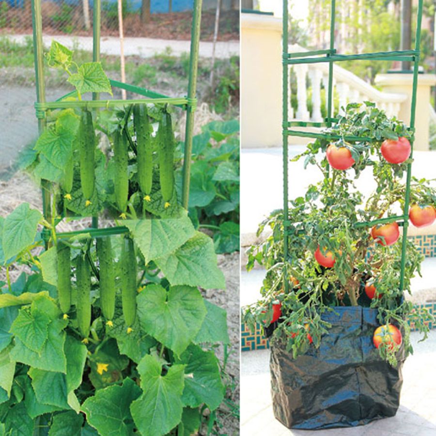 Tomato Cage