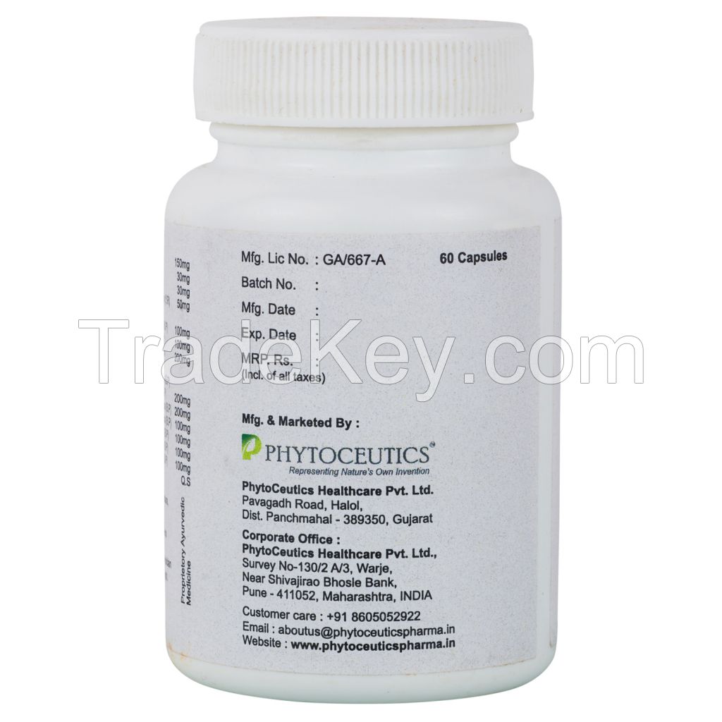 Ironatics Capsule - A Natural Iron Supplement 