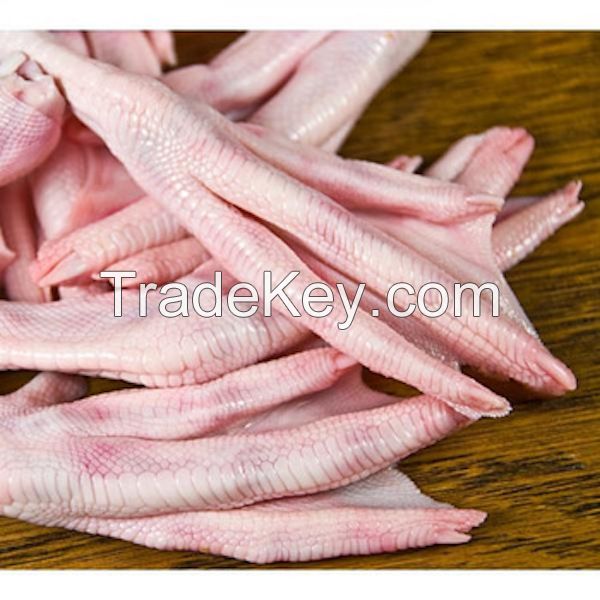 Frozen Duck feet  for export