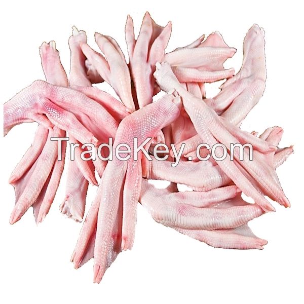 Frozen Duck feet  for export