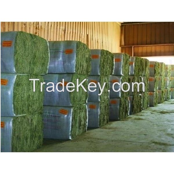 High Quality Timothy Hay for Animal Feeding Stuff Alfalfa / Timothy / Alfalfa Hay for Sale*