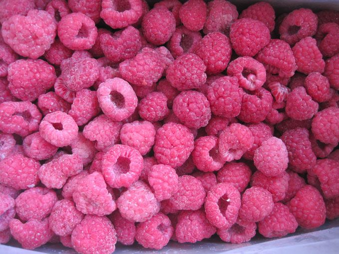 Frozen Raspberry