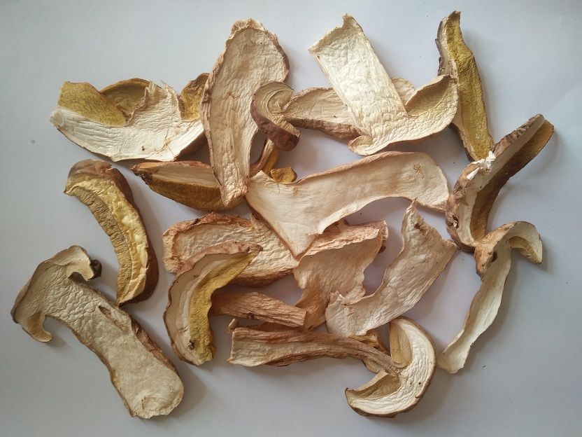 dried  boletus edulis