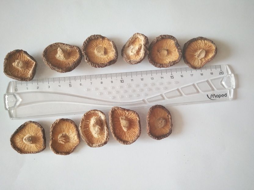 Whole Organic Premium Grade Natural Dried Shiitake Mushrooms