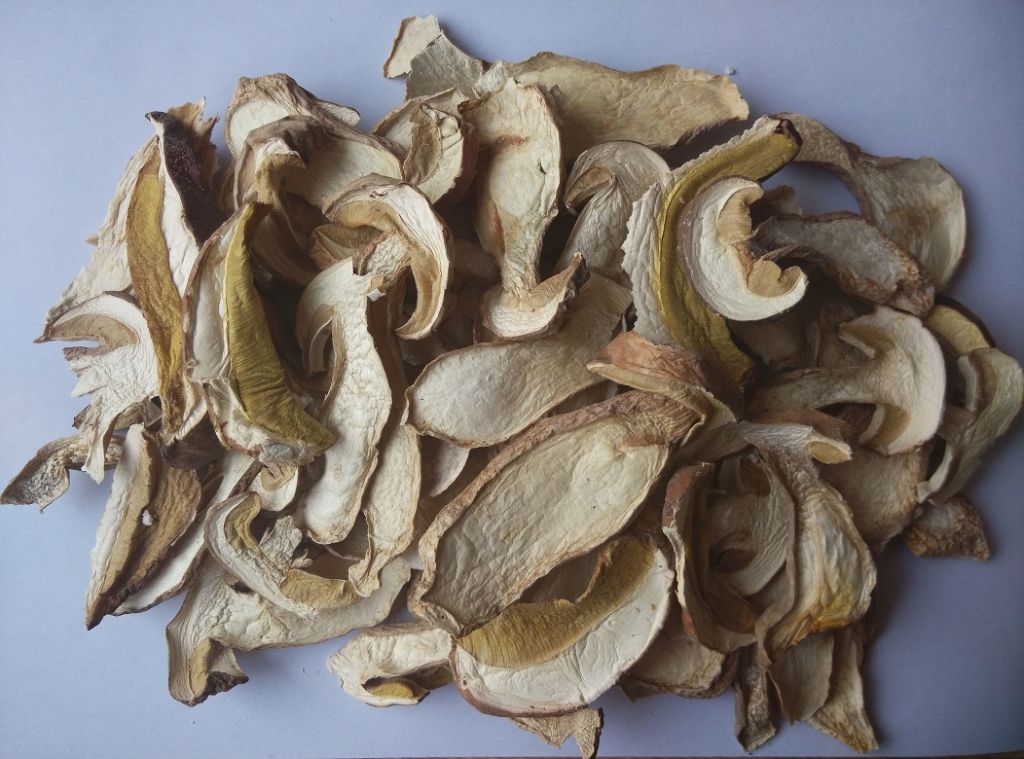 dried  boletus edulis