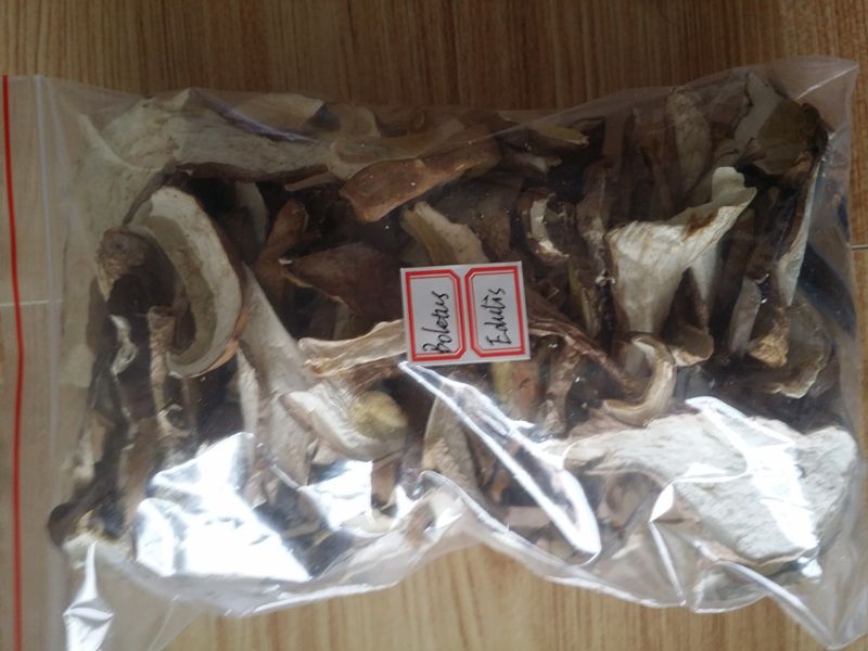 dried  boletus edulis