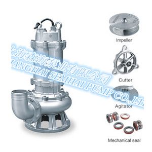 WQ (D)-S Precision Casting Submersible Sewage Pump (Stainless Steel)