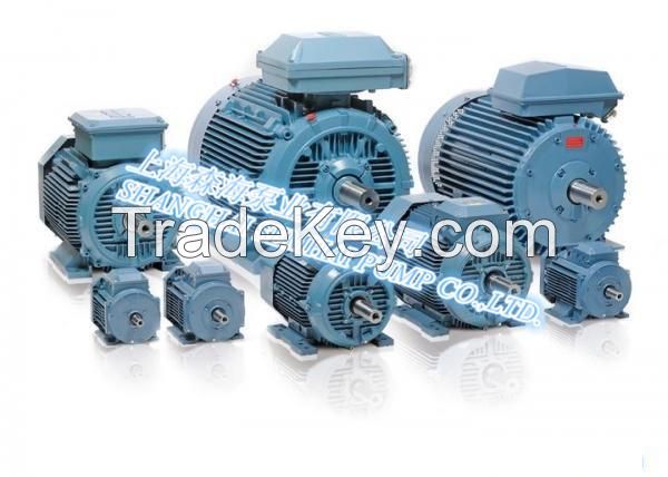 High-Efficiency Electric Motor