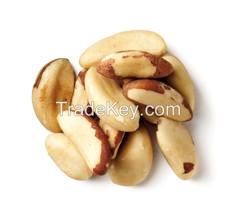 Brazil Nuts/Macadamia/Cashew Nuts/Pistachio Nuts/ Walnuts/Almonds Nuts/Macadamia