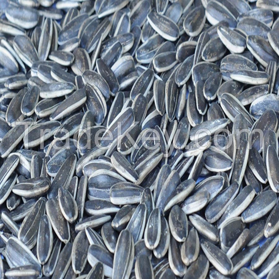 Sunflower Seeds Type 363