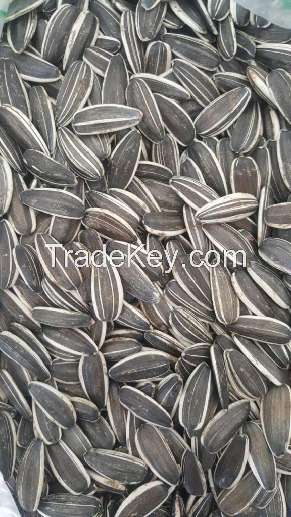 Sunflower Seeds Type 0409