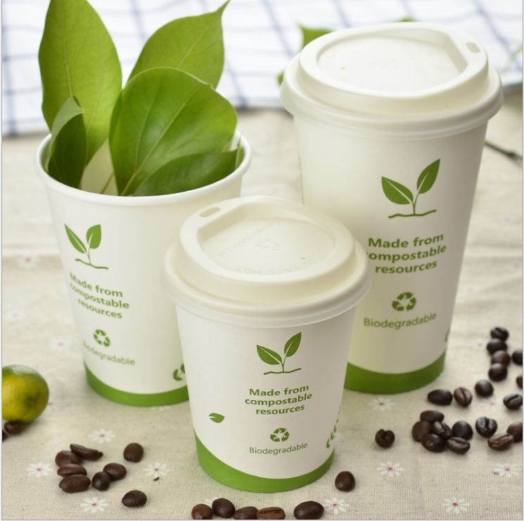 Ecofriendly Natural PLA Drinking Coffee Cup Biodagrade Cup Starbucks Cup