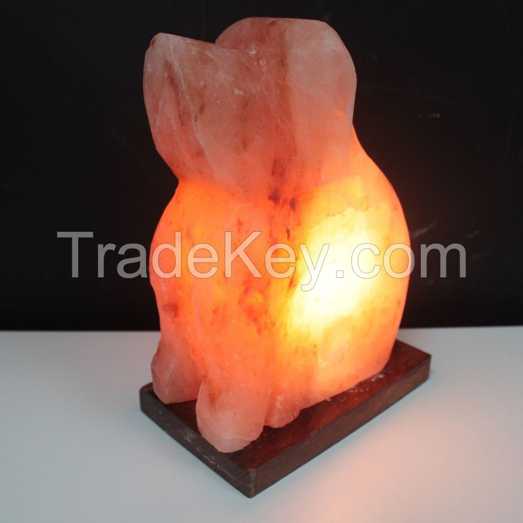 Himalayan salt lamps