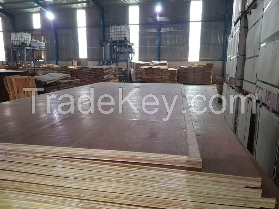 28mm/21ply Hight Quality Container flooring plywood/apitong Plywood from Viet Nam