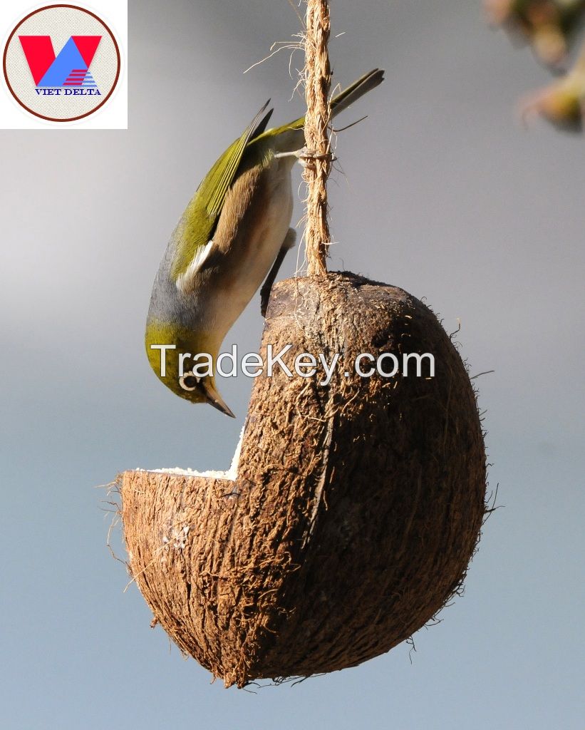 oval coconut shell with coir string