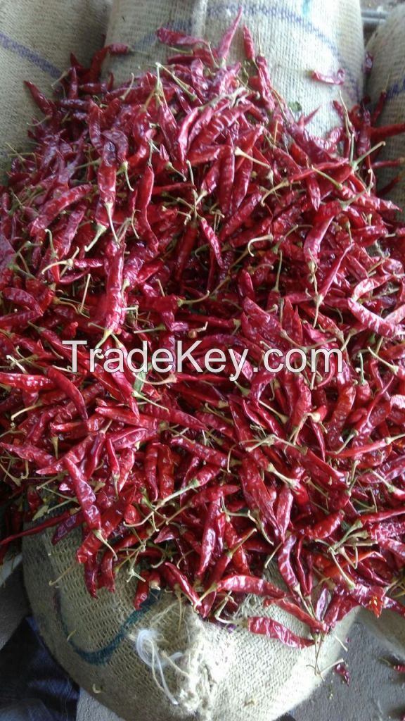 Exporters of vegetables and spices from india