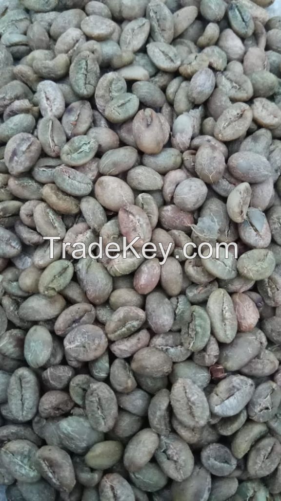 Robusta coffee green bean