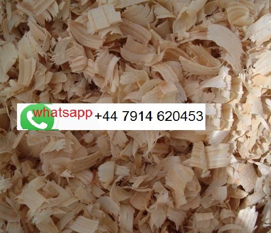 Pine wood shavings horse and poultry bedding available 