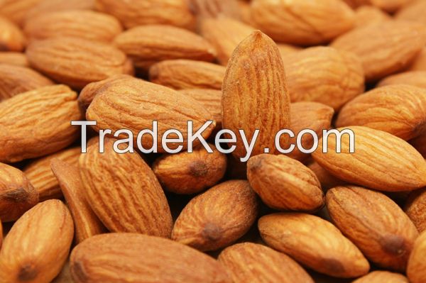 Grade A Quality Raw Almond Nuts