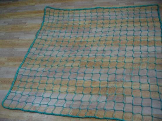 pe fishing net/square net/cargo net