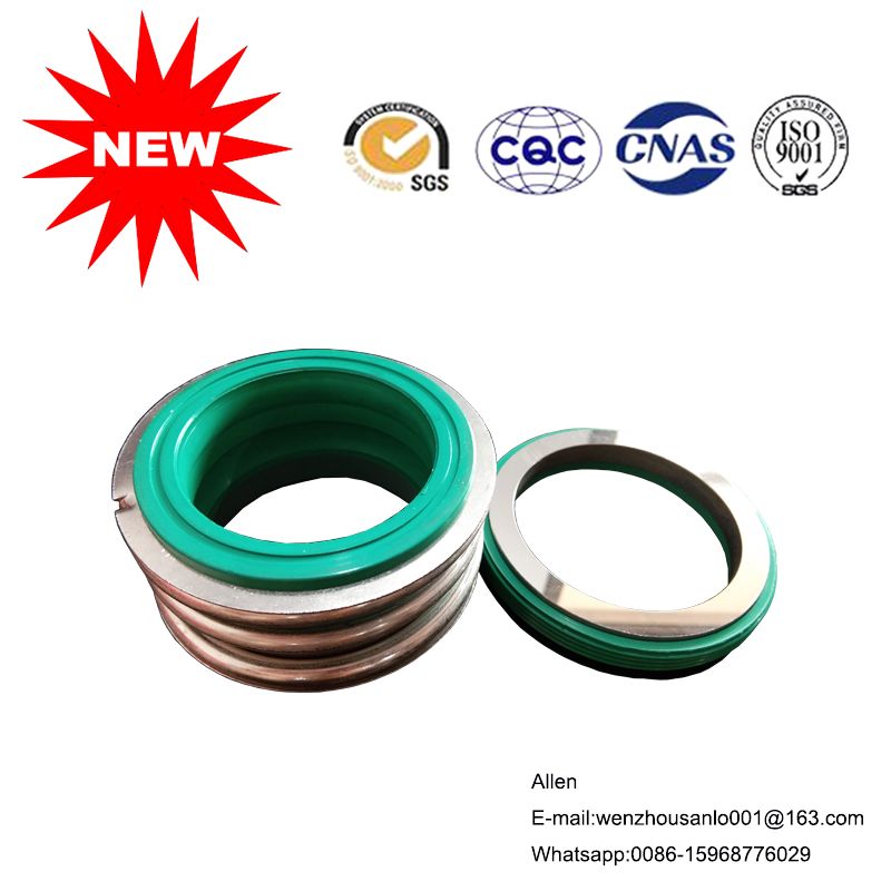 Mechanical Seal --mg1 