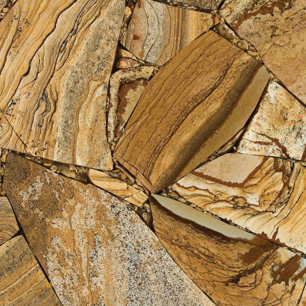 figure fossil stone slab