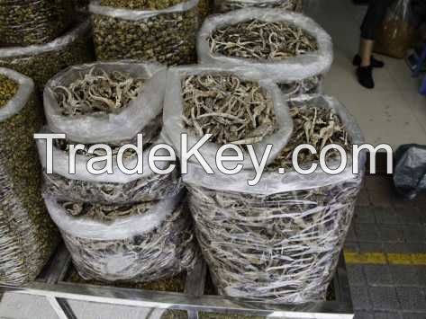 Dried Seahorse For Sale At Very Good Price