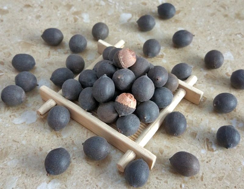 Black Iron Shell Lotus Seeds Nuts