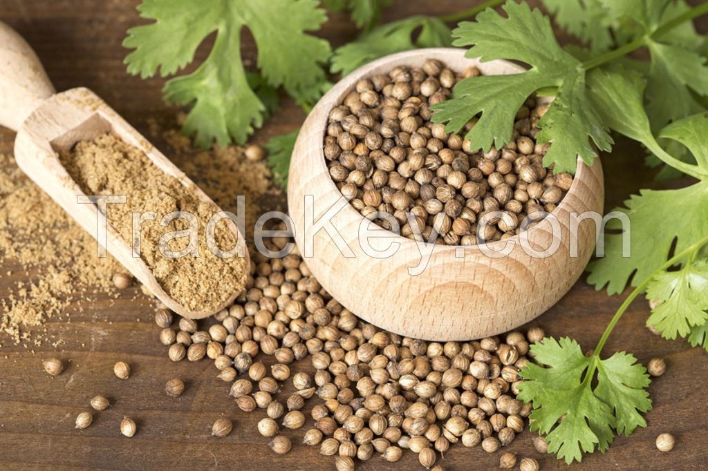 organic coriander whole/powder