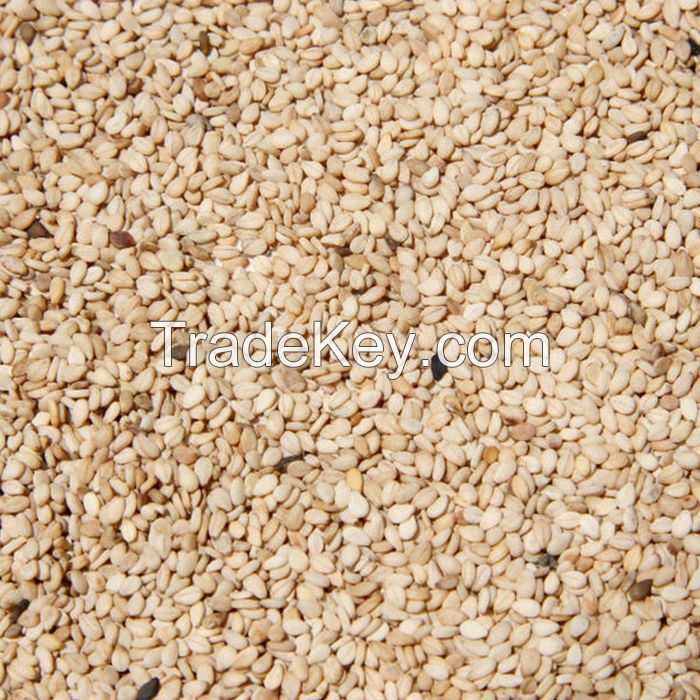 Sesame Seeds