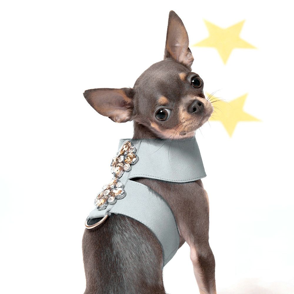 Diamond Flower Bling Rhinestone Pet Dog Harness With Lead Set
