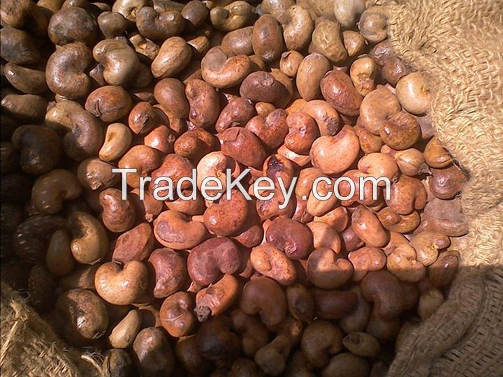 Raw Cashew Nuts