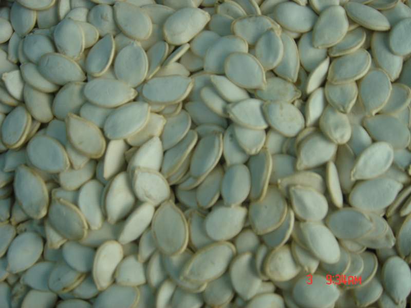 pumpkin seeds