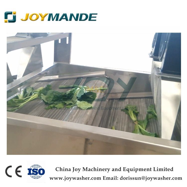 Vegetable And Fruit Air Blowing Drying Machine