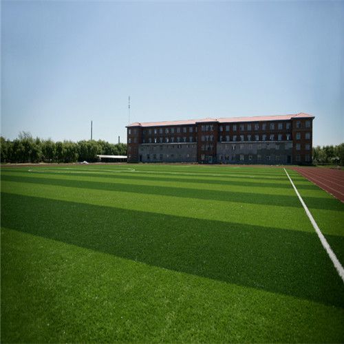 Artificial Turf