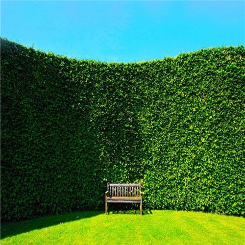 Artificial Boxwood Hedge