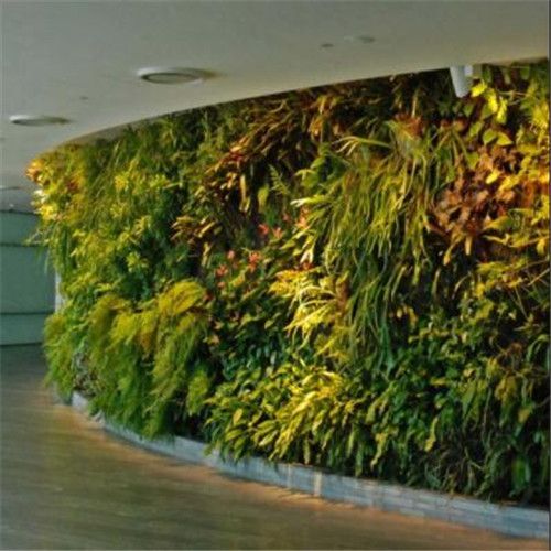 Artificial plant wall