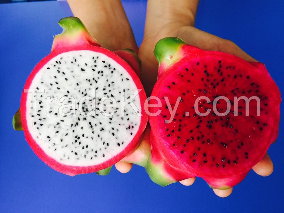 FRESH DRAGON FRUIT