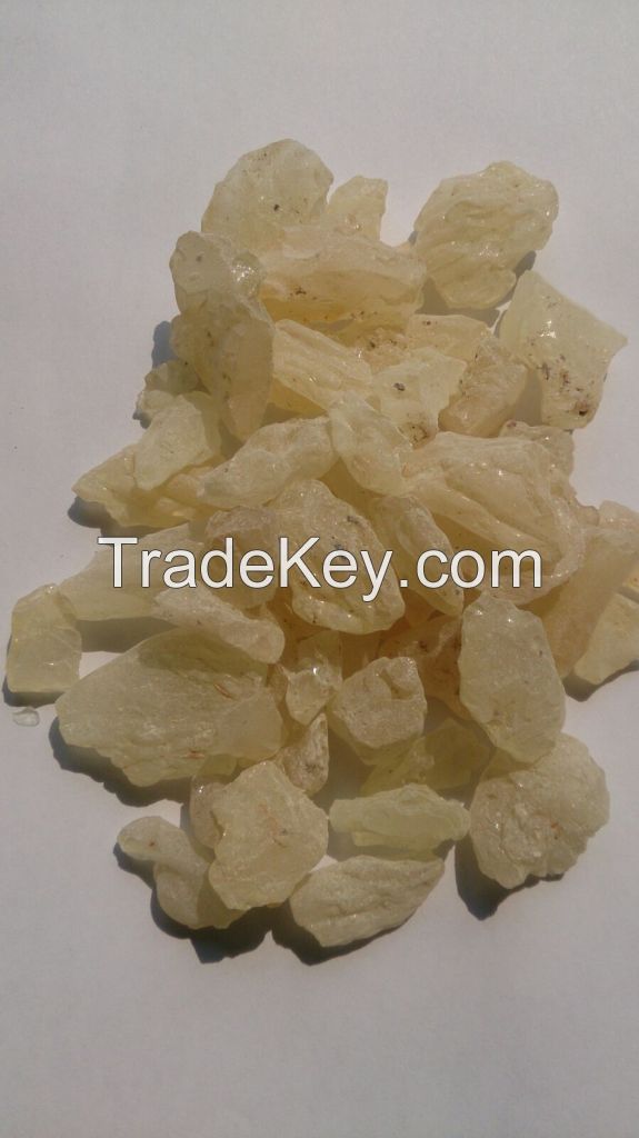 Gum Copal