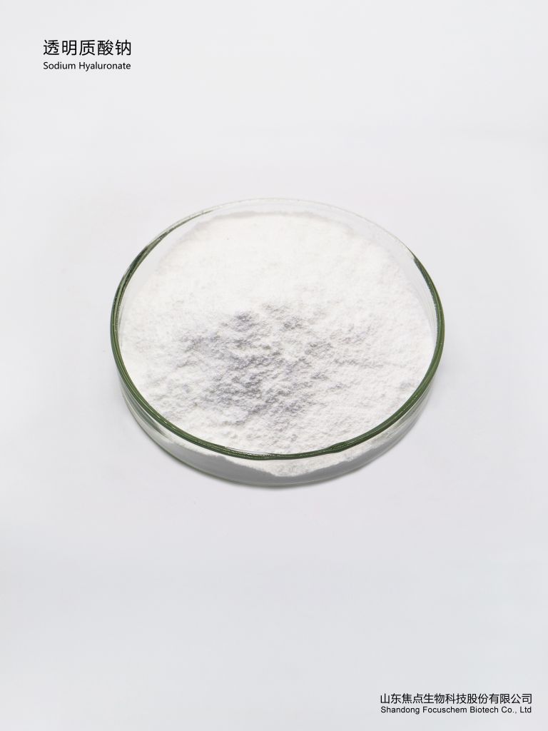 Wholesale Sodium Hyaluronate HA Powder for Cosmetic and Personal Care