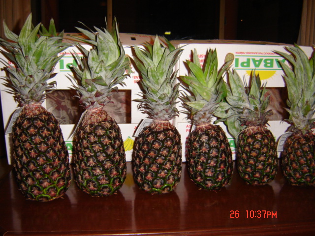Exotic Pineapple